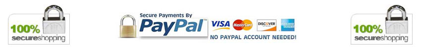 Pay Securely with Paypal